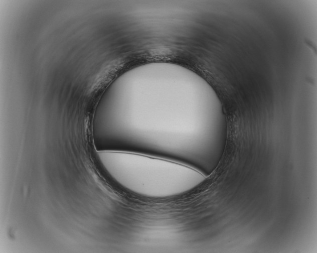 X0000101650742200807100940