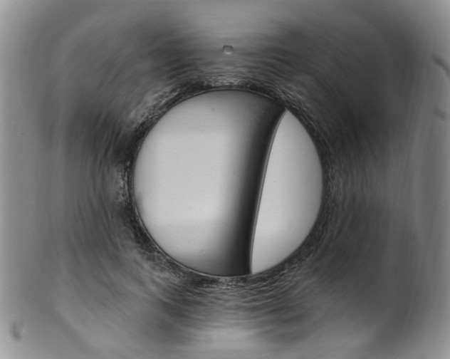 X0000101650743200807100940