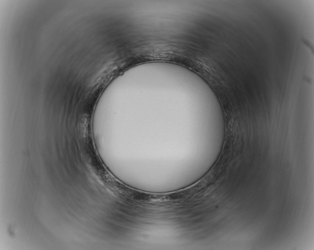 X0000101650744200807100940