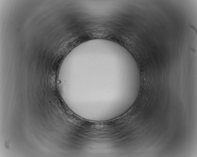X0000101650745200807100940