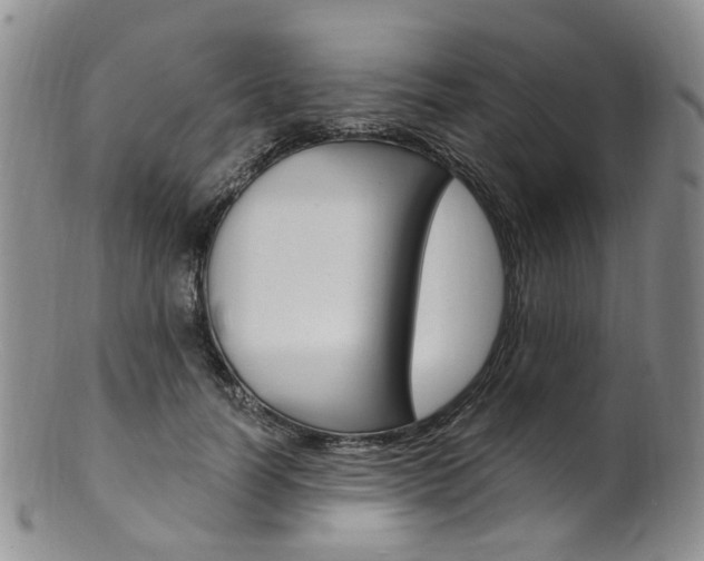 X0000101650746200807100940