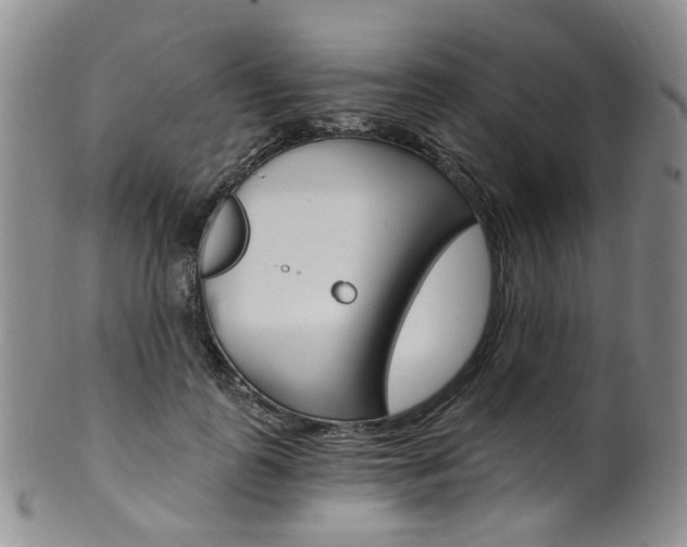 X0000101650747200807100940