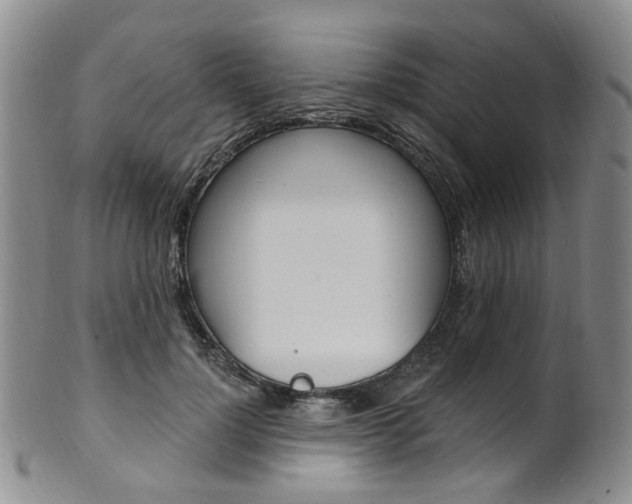 X0000101650748200807100940