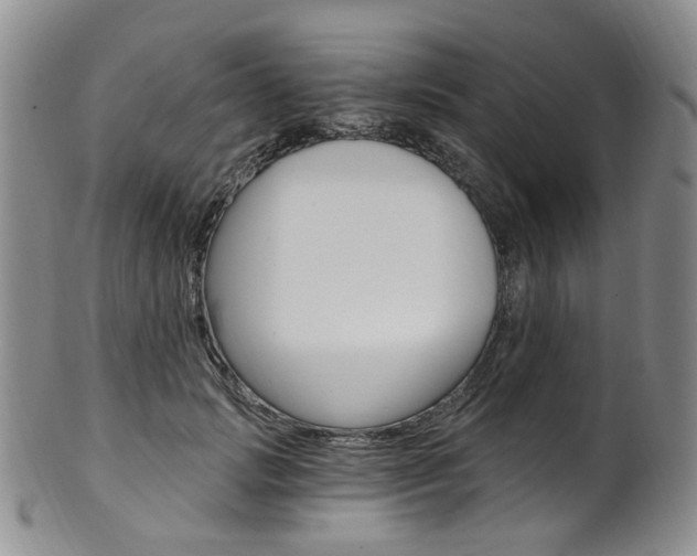 X0000101650749200807100940