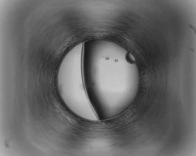 X0000101650750200807100940