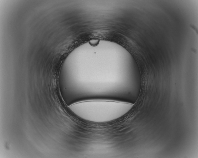 X0000101650751200807100940