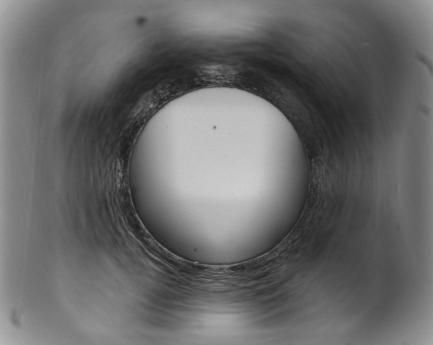 X0000101650752200807100940