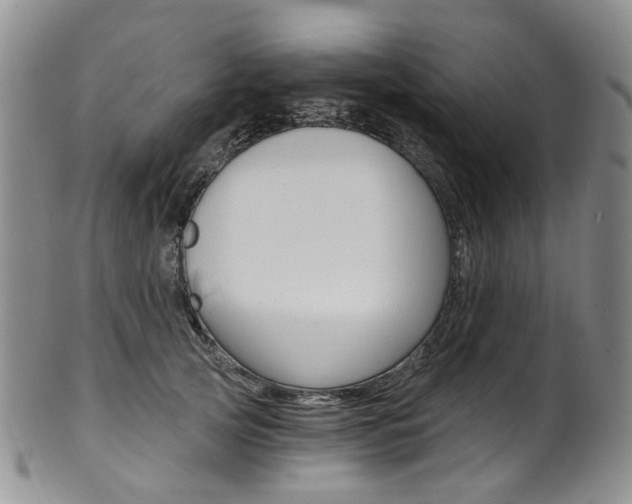 X0000101650753200807100940