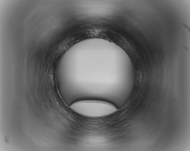 X0000101650754200807100940