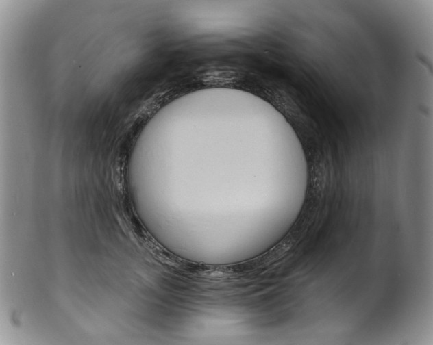 X0000101650755200807100940