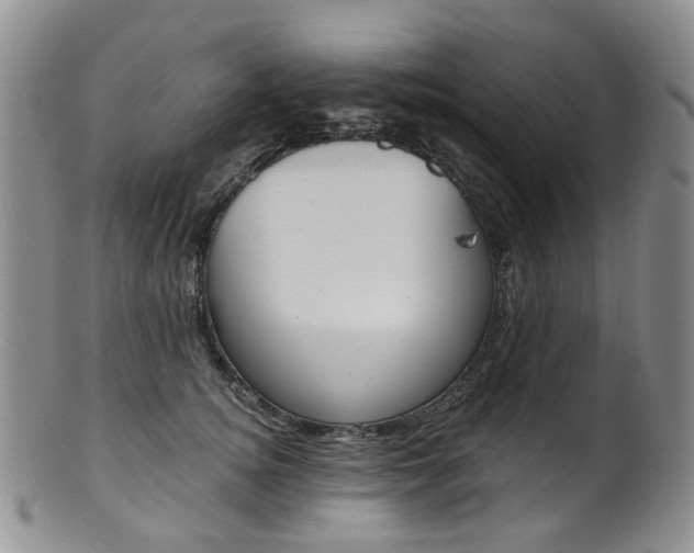 X0000101650756200807100940