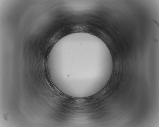 X0000101650757200807100940