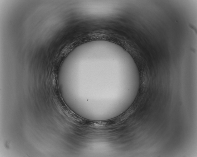 X0000101650758200807100940