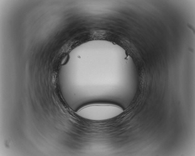 X0000101650759200807100940