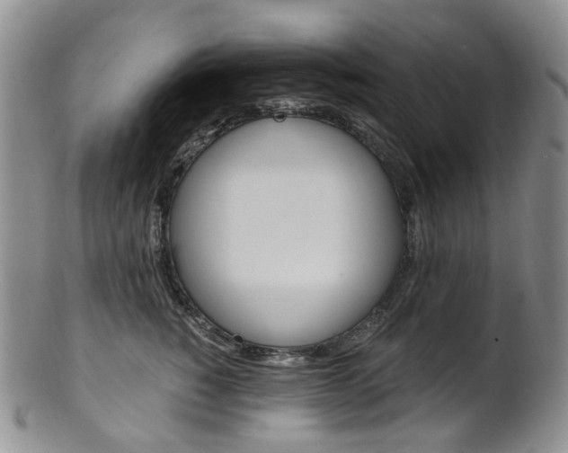 X0000101650760200807100940