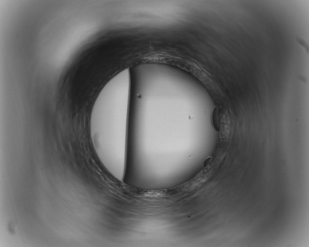 X0000101650762200807100940