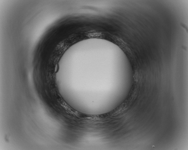 X0000101650763200807100940