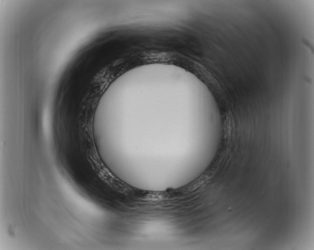 X0000101650764200807100940
