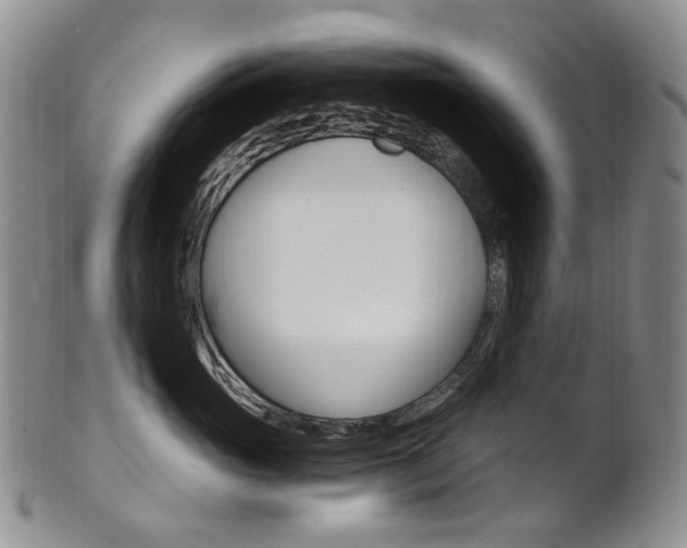 X0000101650765200807100940
