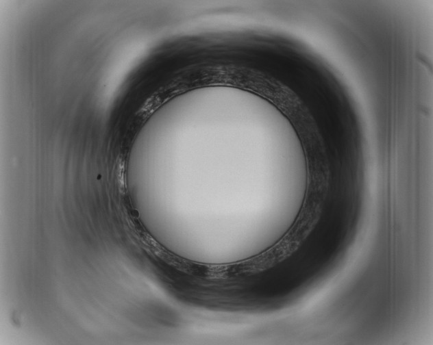 X0000101650766200807100940