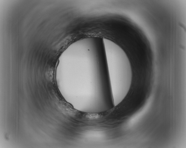 X0000101650767200807100940