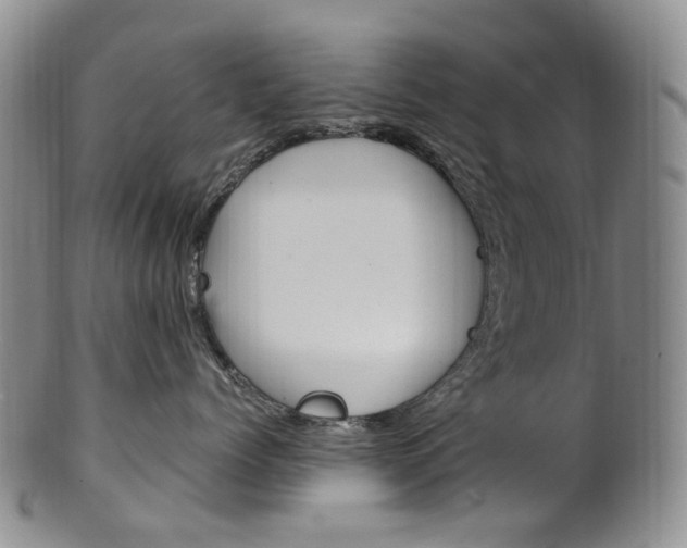 X0000101650768200807100940