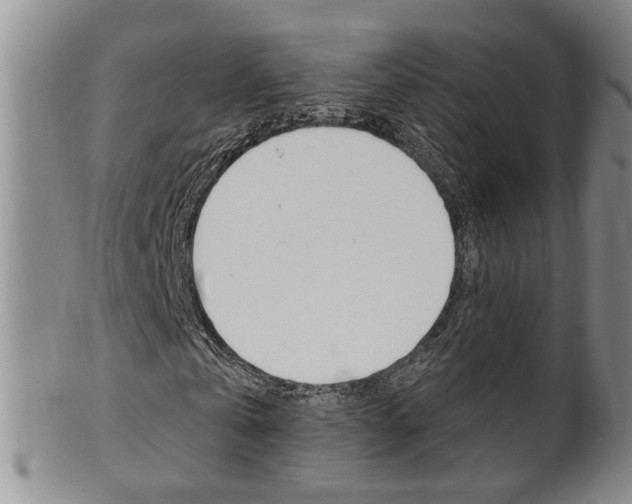 X0000101650769200807100939