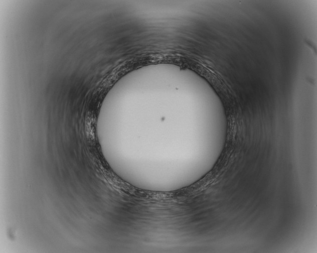 X0000101650770200807100939