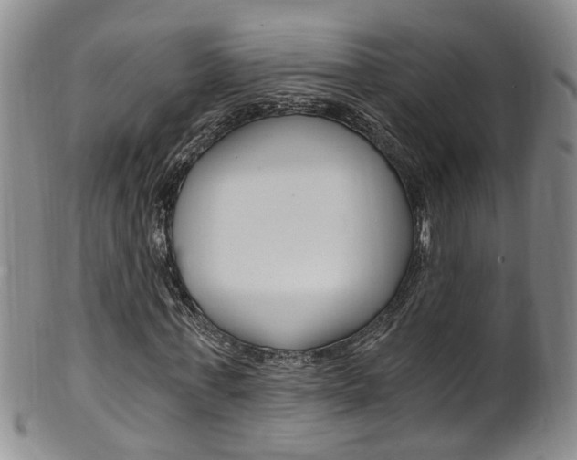 X0000101650771200807100939