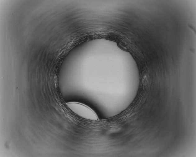 X0000101650772200807100939