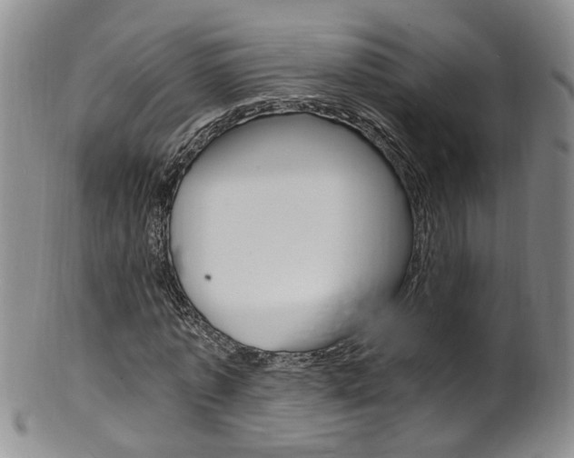 X0000101650773200807100939