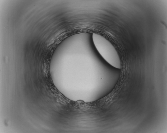 X0000101650774200807100939