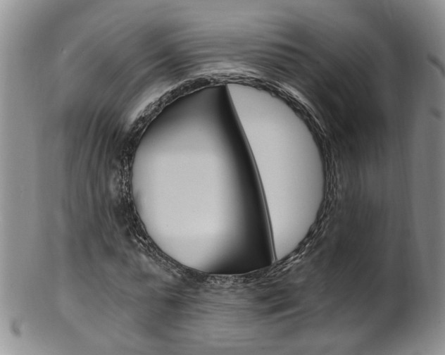 X0000101650775200807100939
