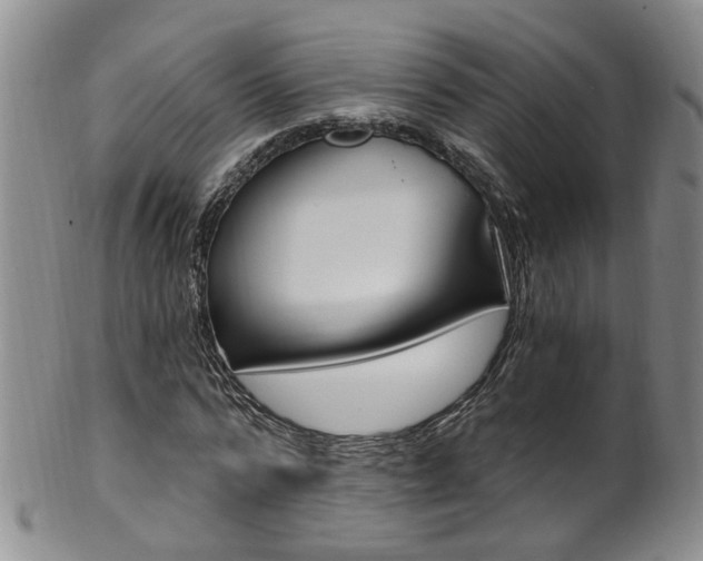 X0000101650776200807100939