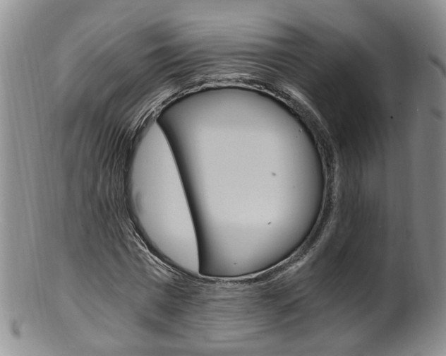 X0000101650777200807100939