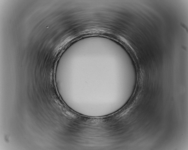 X0000101650778200807100939