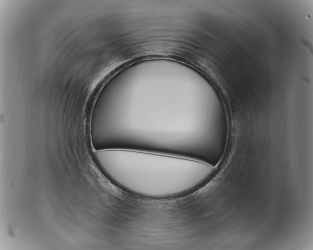 X0000101650779200807100939