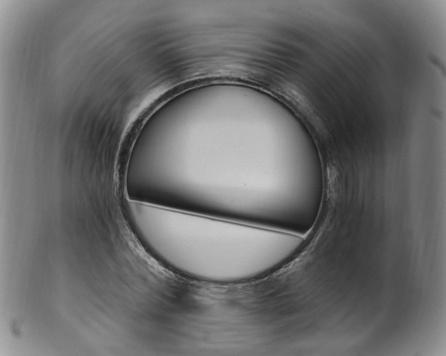 X0000101650780200807100939