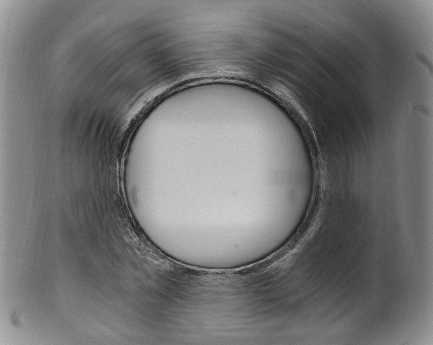 X0000101650781200807100939