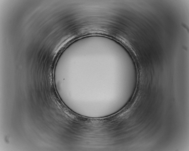 X0000101650782200807100939