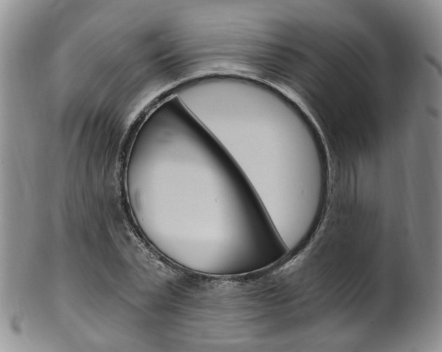 X0000101650783200807100939