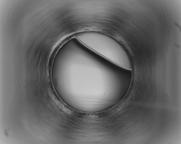 X0000101650784200807100939