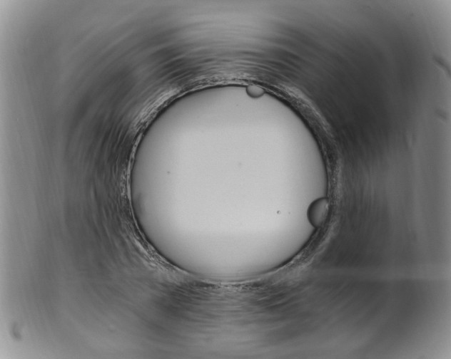 X0000101650785200807100939