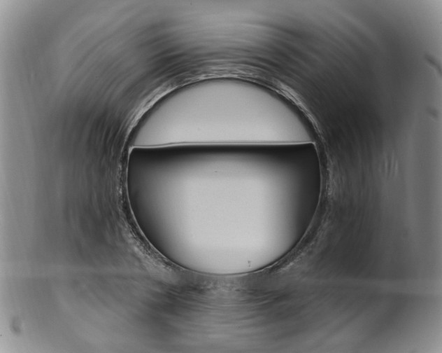 X0000101650786200807100939