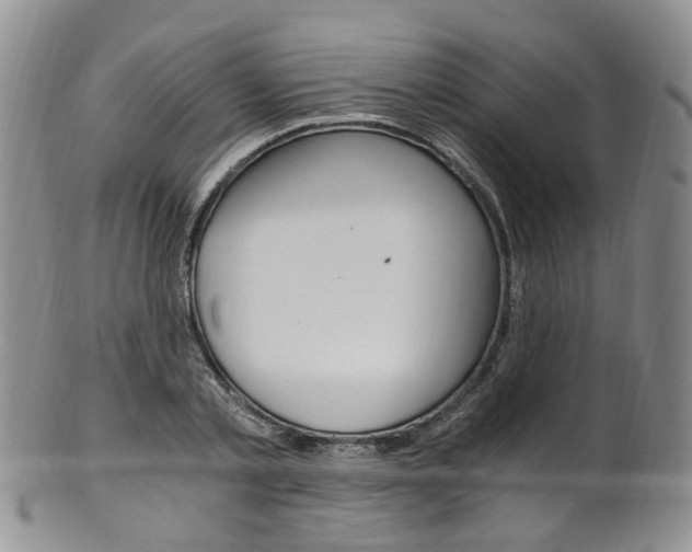 X0000101650789200807100939