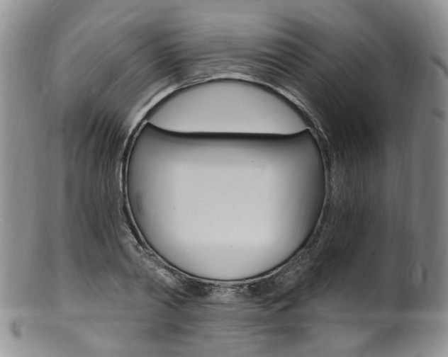 X0000101650790200807100939