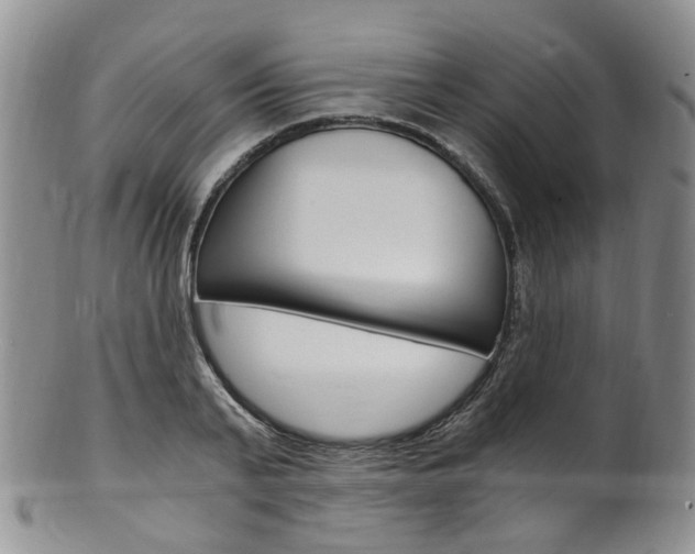 X0000101650791200807100939