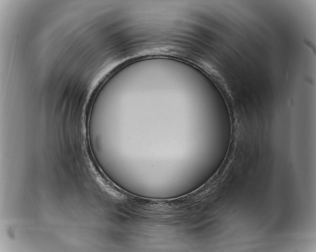 X0000101650792200807100939