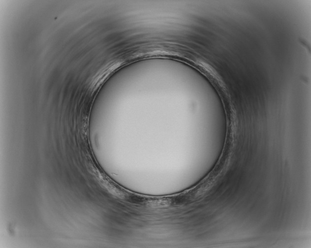 X0000101650793200807100939