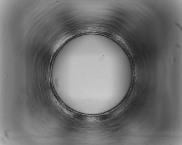 X0000101650794200807100939